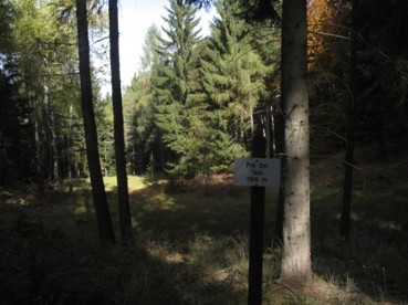 Radura nel bosco per il Dosso